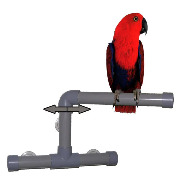 Medium Shower and Window Perch by Fun Max-Zoo Max