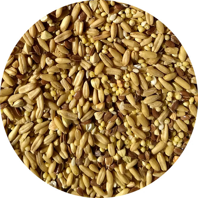 TOPS Napoleon Seed Mix