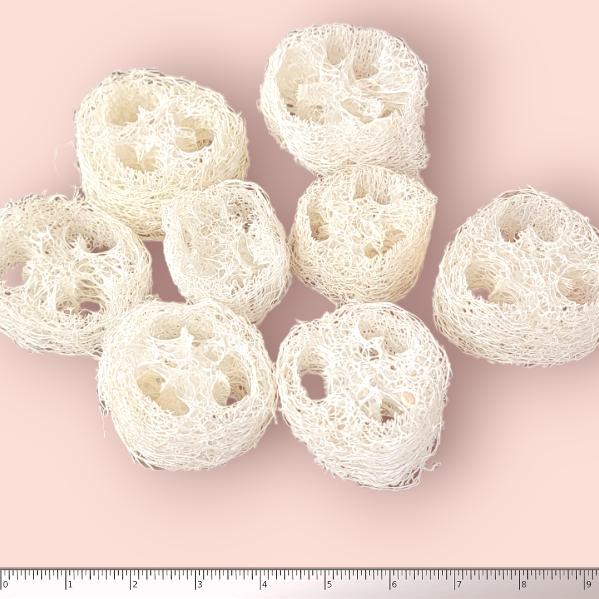 Natural Loofah Slices - 12 Pack