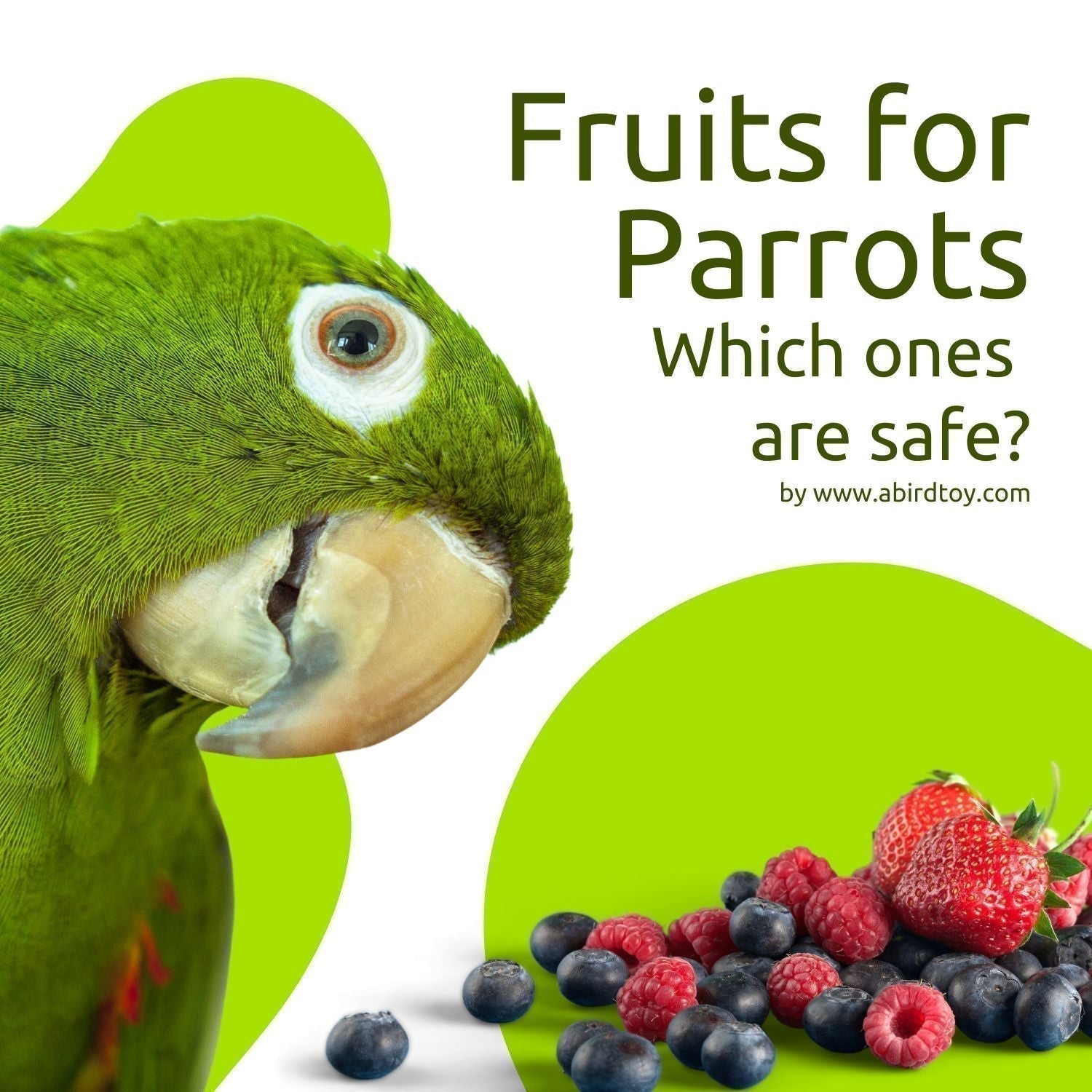 Which Fruits Are Safe To Feed Your Parrot?