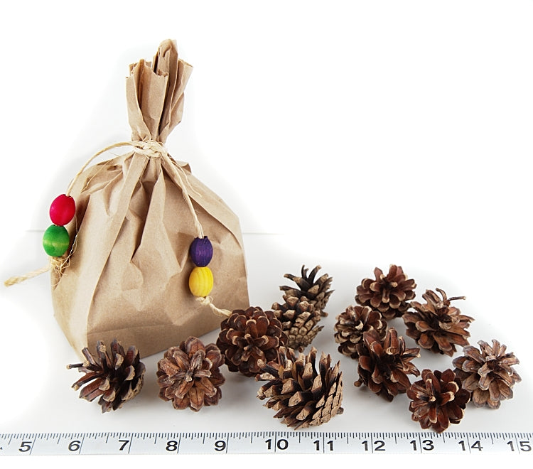 Bag of Pinecones