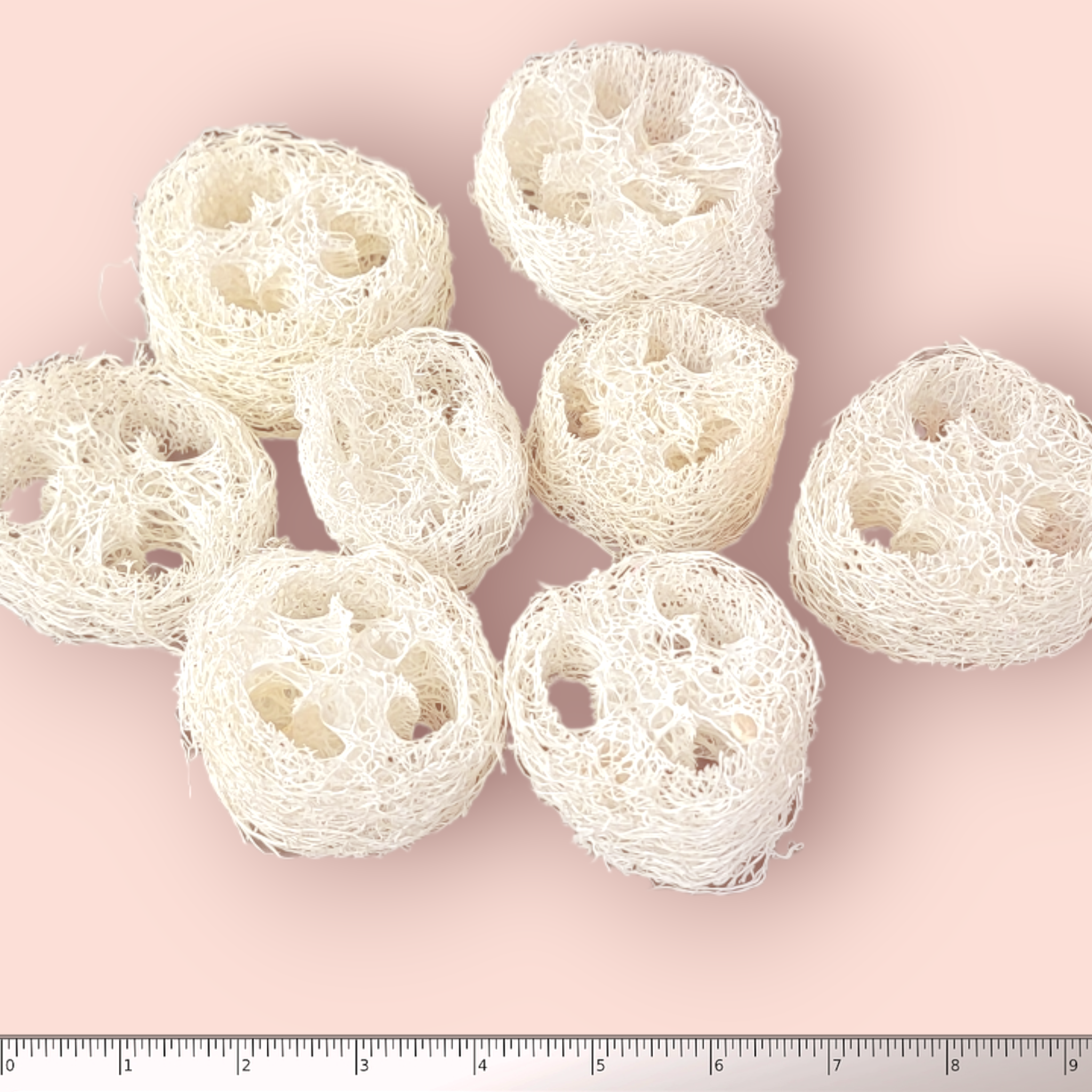 Natural Loofah Slices