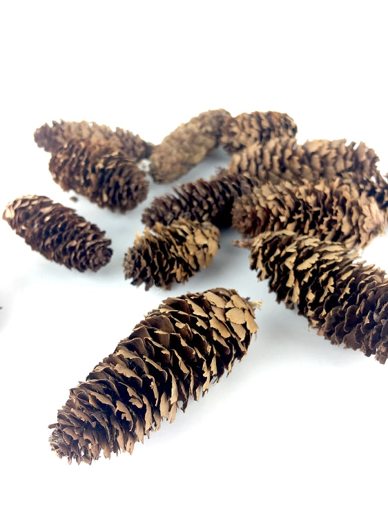 Mini Fancy Pine Cones